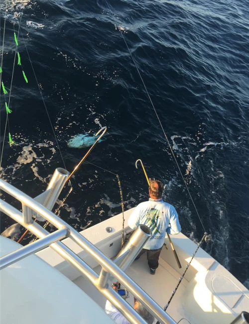 A view from above of two anglers fishing off the back of a charter boat