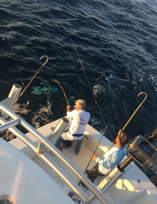 A view from above of an angler fishing off the back of a charter boat