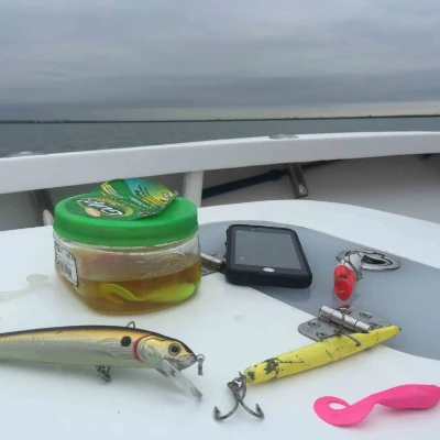 Berkley Gulp! Alive!, some hard and soft baits