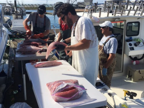 Several anglers cleaning fish on the dock