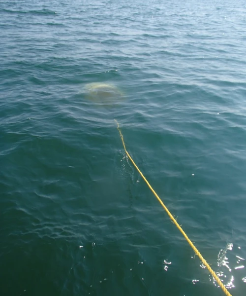 A line in the water leading to a drift sock