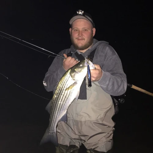 An angler at night holding a striped bass