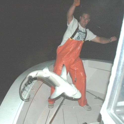 An angler on a boat at night landing a shark