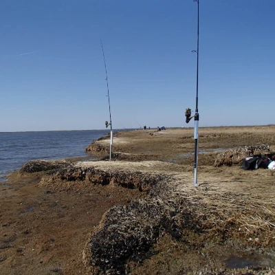 Fishing poles in rod holders along a muddy shore