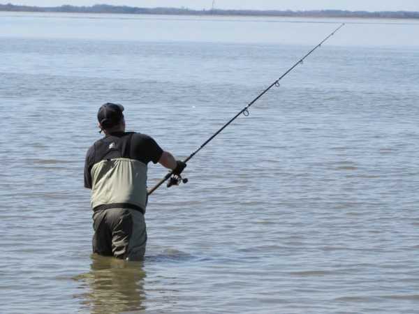 An angler standing in the water fishing