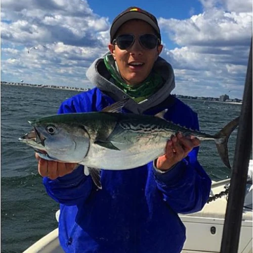 An angler on a boat holding a false albacore (bonito)