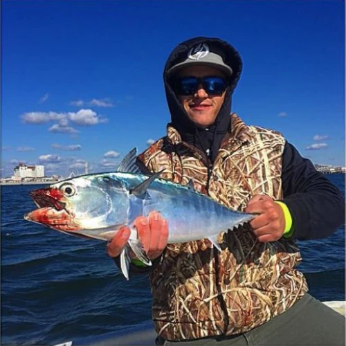 An angler on a boat holding a false albacore (bonito)