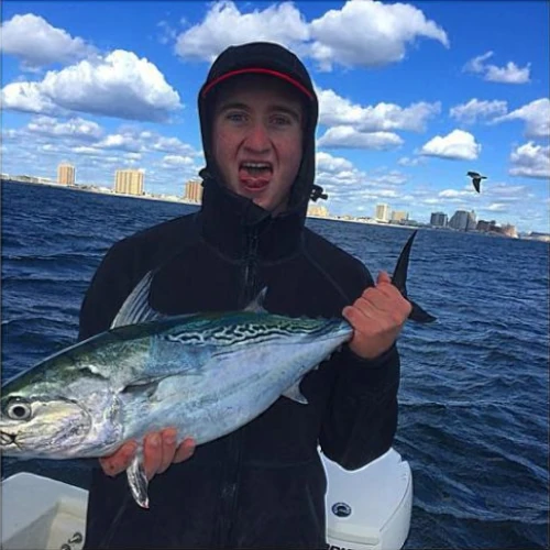 An angler on a boat holding a false albacore (bonito)