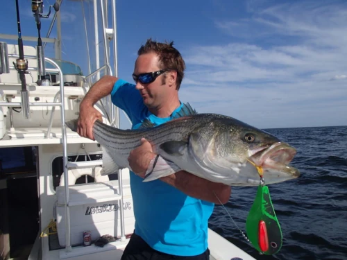 Nick Honachefsky standing on a boat holding a striped bass