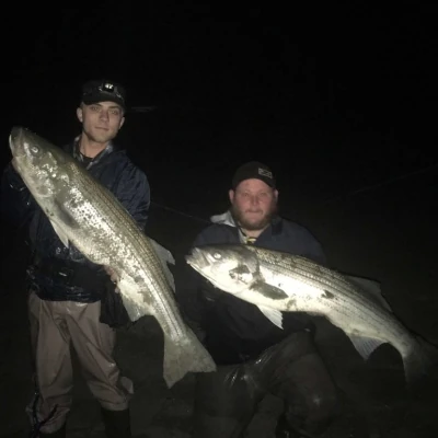 An angler in the dark holding a striped bass