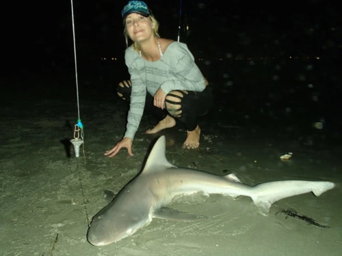 A female angler showing off her shark catch