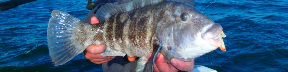 Close-up of Nick Honachefsky holding a striper