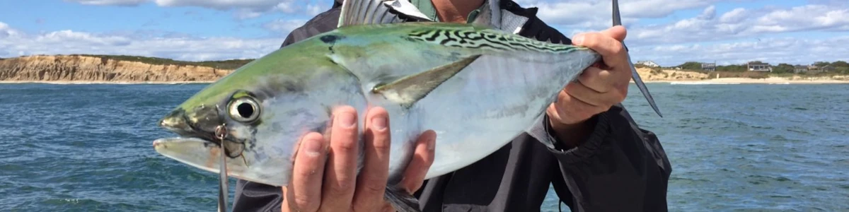 Close-up of Nick Honachefsky standing in front of perfectly blue water holding a mahi