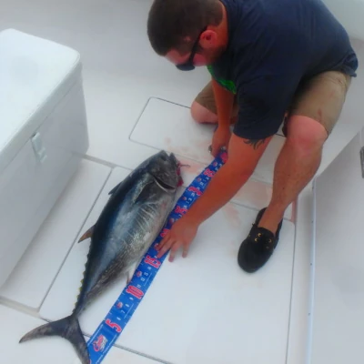 An angler measuring a bluefin tuna