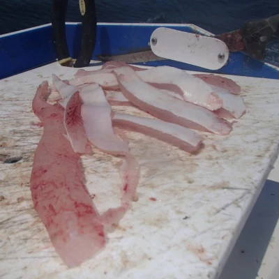 Strip bait pieces
