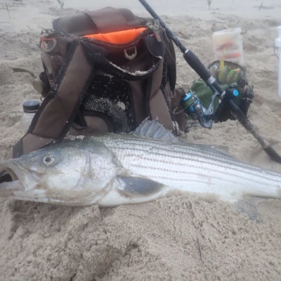 A striped bass, tackle backpack, and fishing rod on a beach