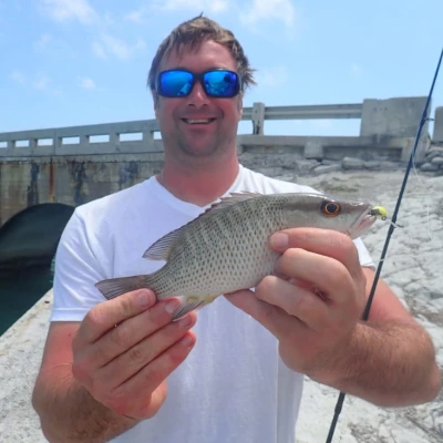 Nick Honachefsky holding a small fish while standing in front of a bridge