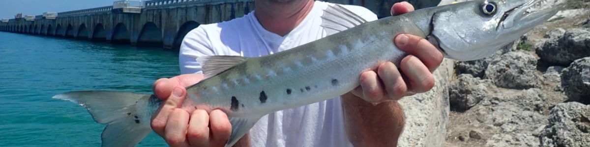 Close-up of a man holding a fish