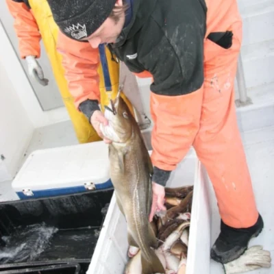 An angler holding a fish over a cooler full of fish