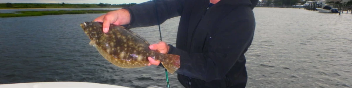 Close-up of an angler holding a fluke