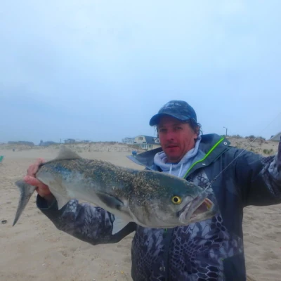An angler on the beach holding a bluefish