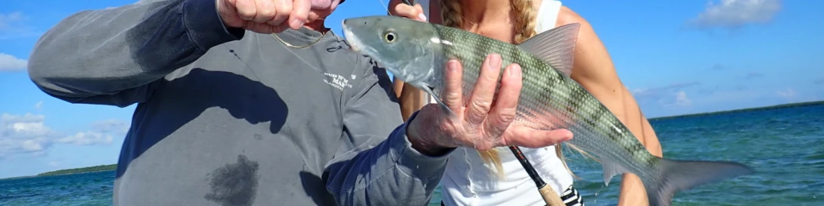 Close-up of a bonefish that has just been caught