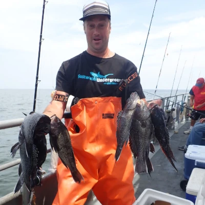 Nick Honachefsky on a party boat holding several sea bass
