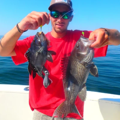An angler holding two sea bass