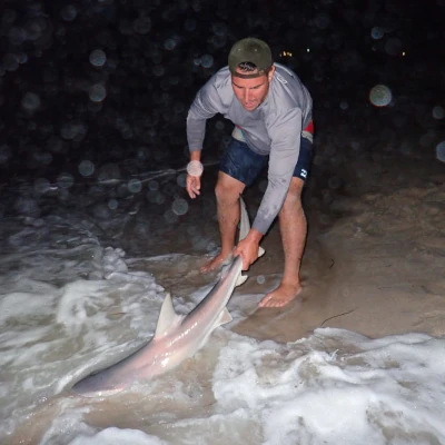 An angler holding a shark by the tail and just in the water