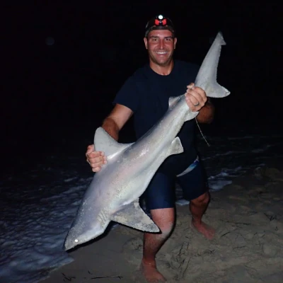 An angler on the beach holding a shark