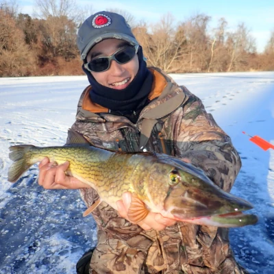 An angler holding a pickerel they just caught while ice fishing