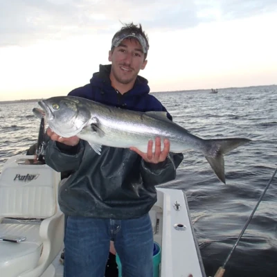 A man on a boat holding a bluefish