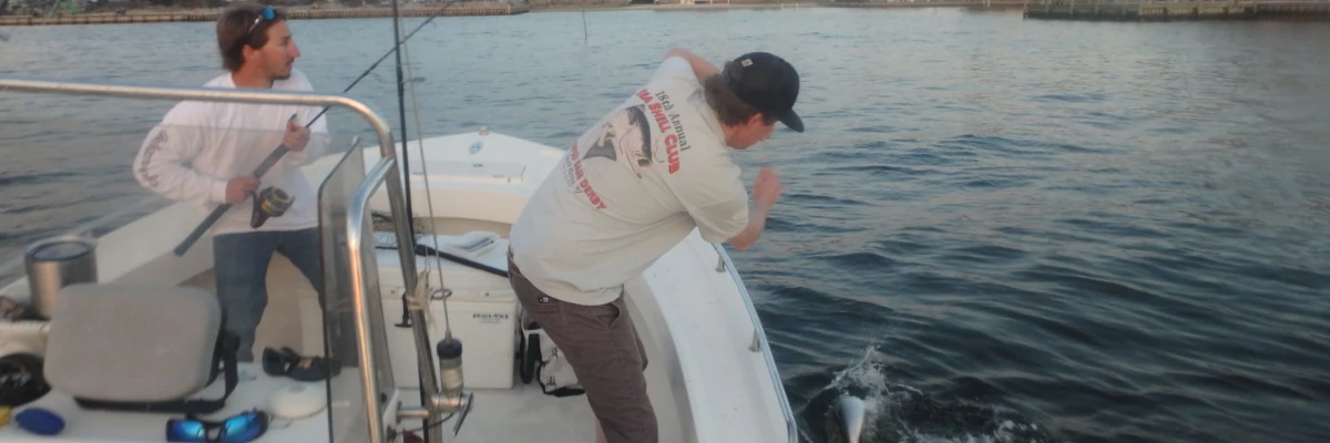 Two men on a boat attempting to pull in a Bluefish