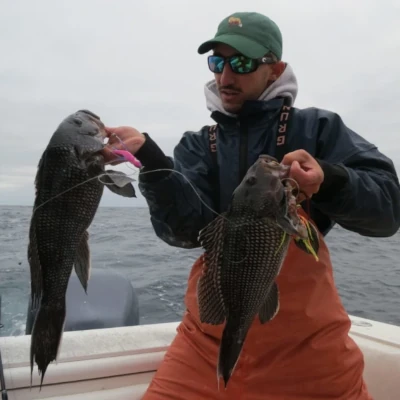 An angler holding two sea bass