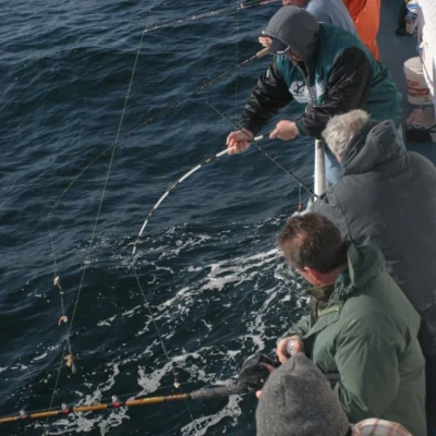 Several angler leaning over the side of a boat and fishing