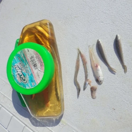 Berkley gulp alive bait