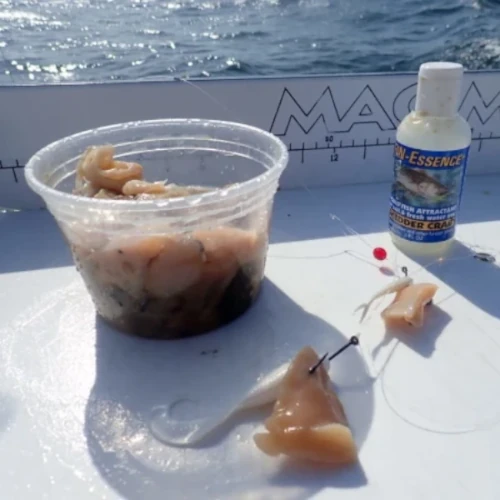 Adding Fin-Essence scent and clams to bait