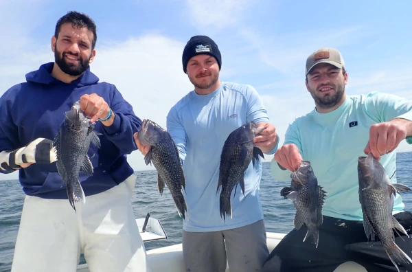 4 men ona boat holding Sea Bass