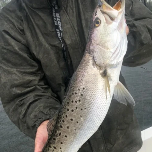 Close-up of a man holding a fish