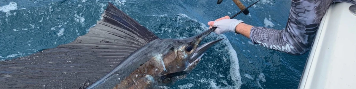 A man leaning over a boat holding a fishing rod and the bill of a sailfish
