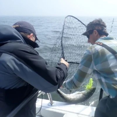 Nick Honachefsky sitting on a boat holding a striped bass with a chartreuse jig in its mouth