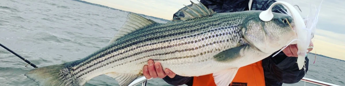 Nick Honachefsky holding a Striped Bass