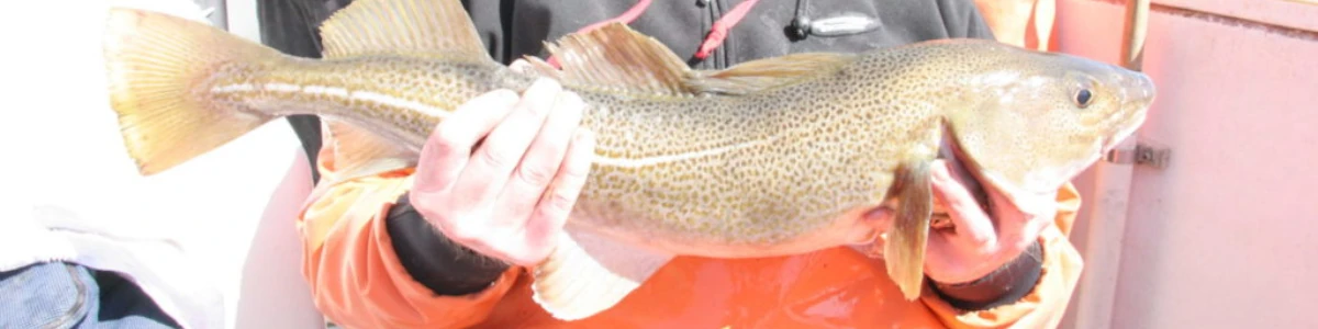 Close-up of an angler holding a fish