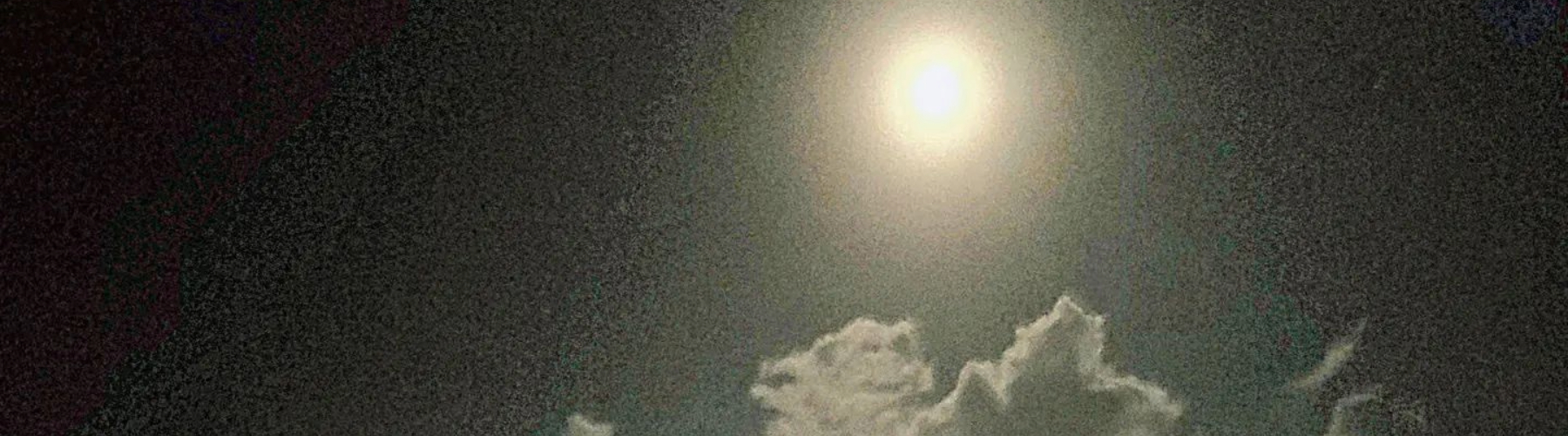 Fishing under moon light