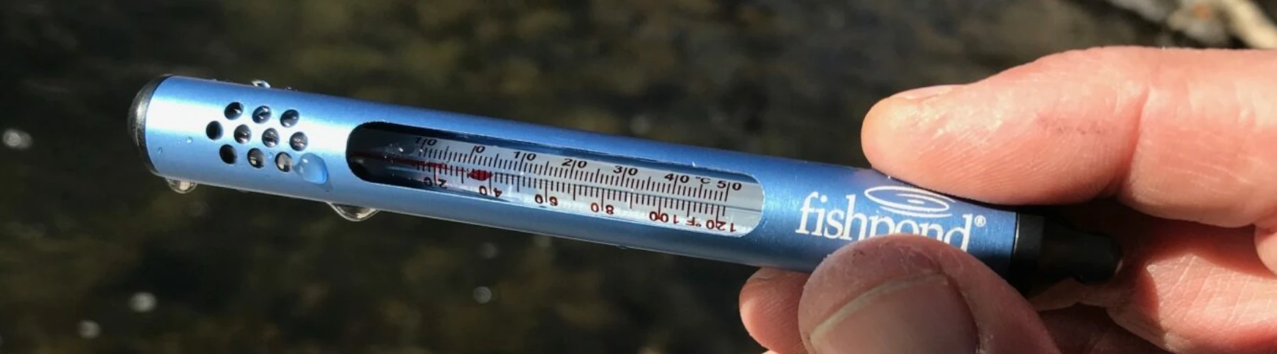 An angler holding a fishing water thermometer