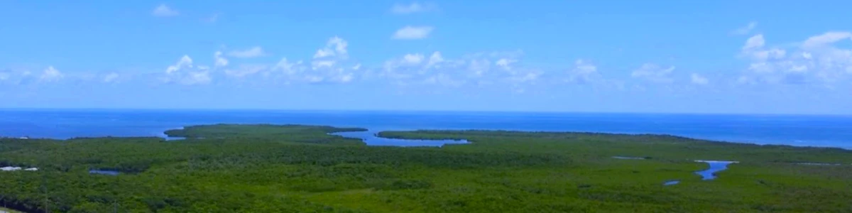 A view of the Florida Everglades from the sky