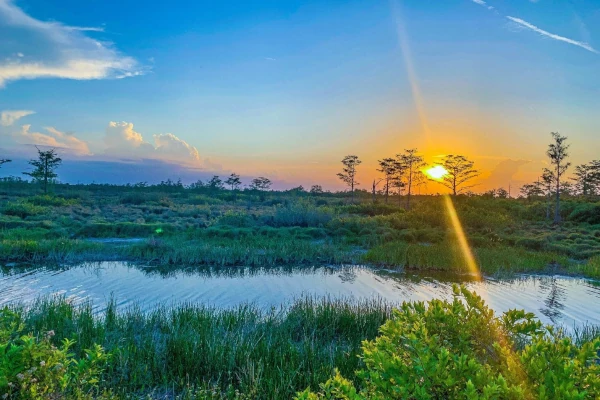 Sunset view of the marshes