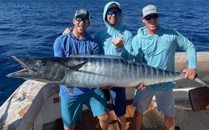 Wahoo Image provided by user @slickerbeaut