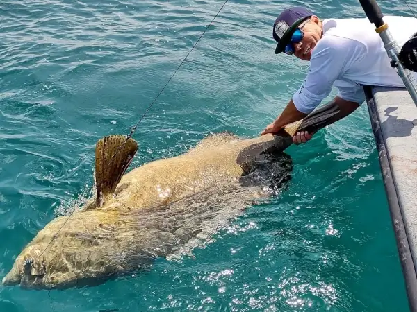 Grouper image provided by user @countyline_charters