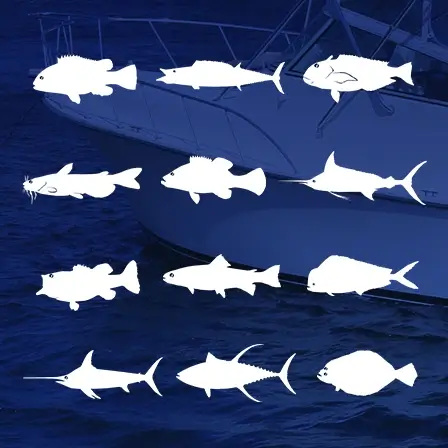 Species Specific Product Finder
